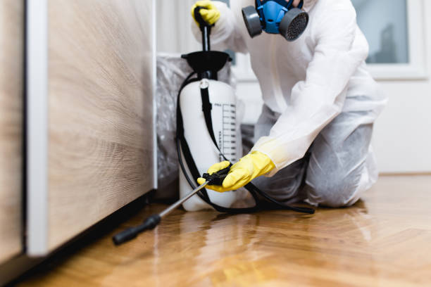 Best Pest Prevention Services  in Hillview, KY