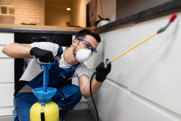 Best Bed Bug Extermination  in Hillview, KY