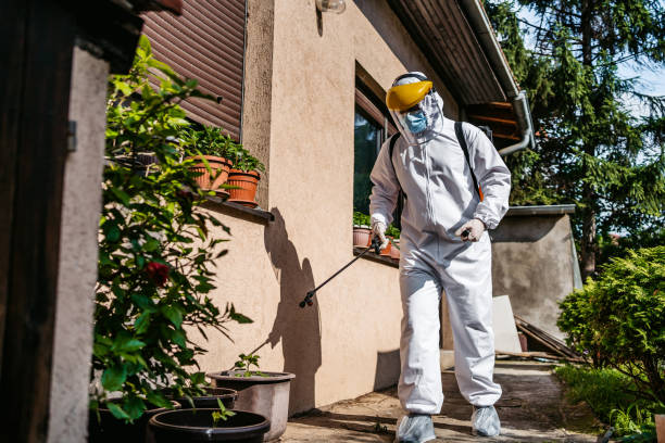 Best Bed Bug Extermination  in Hillview, KY