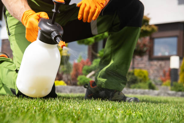 Best Cockroach Control Services  in Hillview, KY