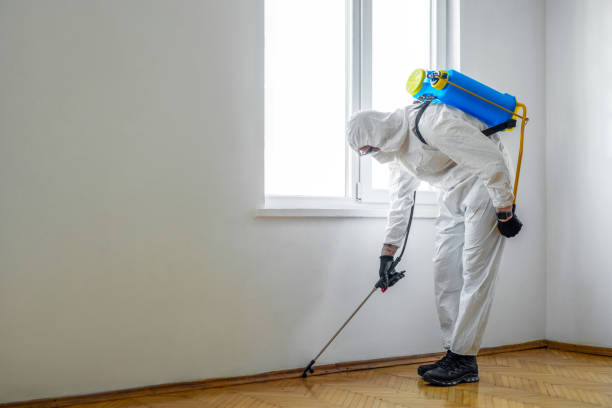 Best Affordable Pest Control Services  in Hillview, KY