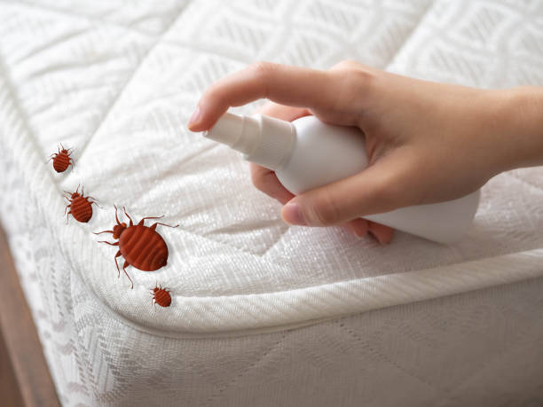 Best Pest Prevention Services  in Hillview, KY